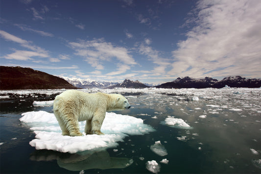 The Role of Oceans in Climate Change